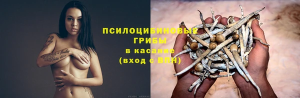 герыч Лагань